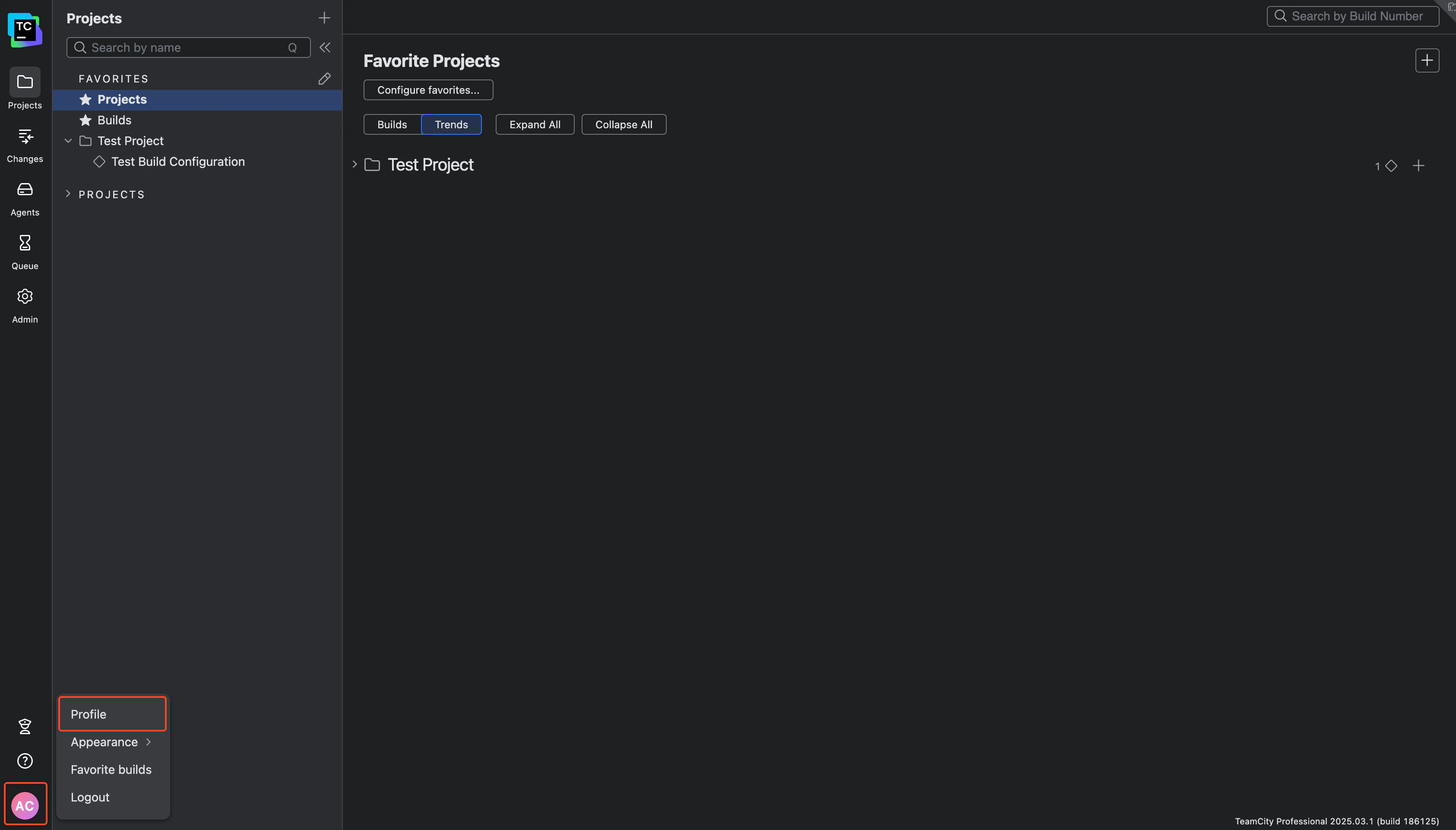 TeamCity Main Page