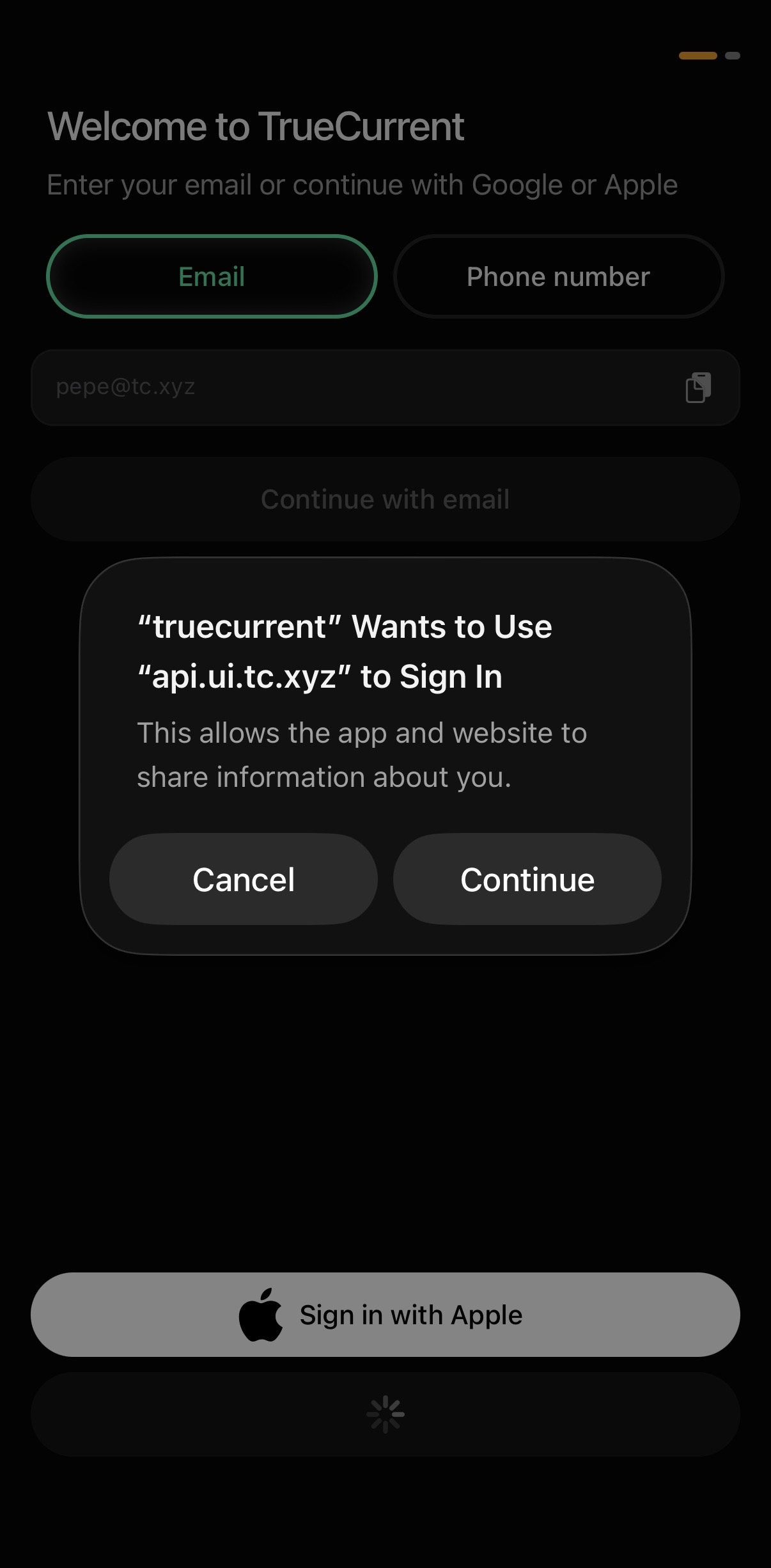 System prompt confirming TrueCurrent wants to use api.ui.tc.xyz to sign in with Google.