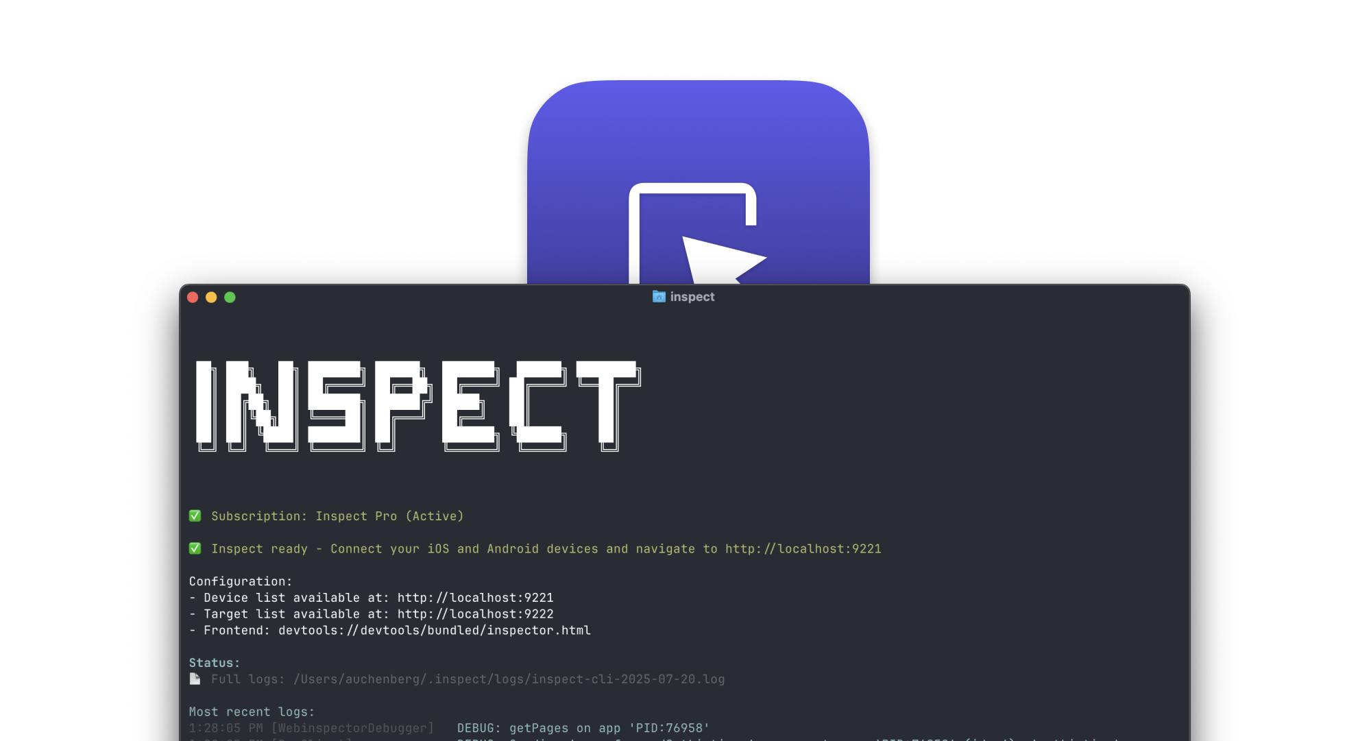 inspect_cli.png