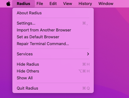 The Radius application menu showing Repair Terminal Command