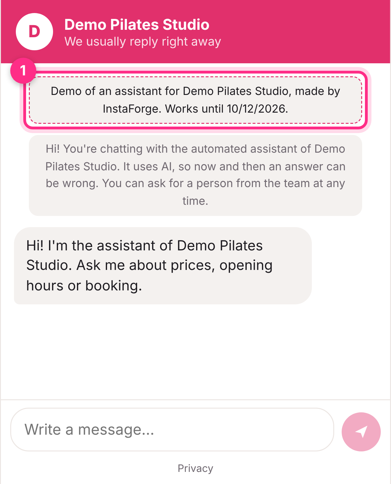 The demo chat