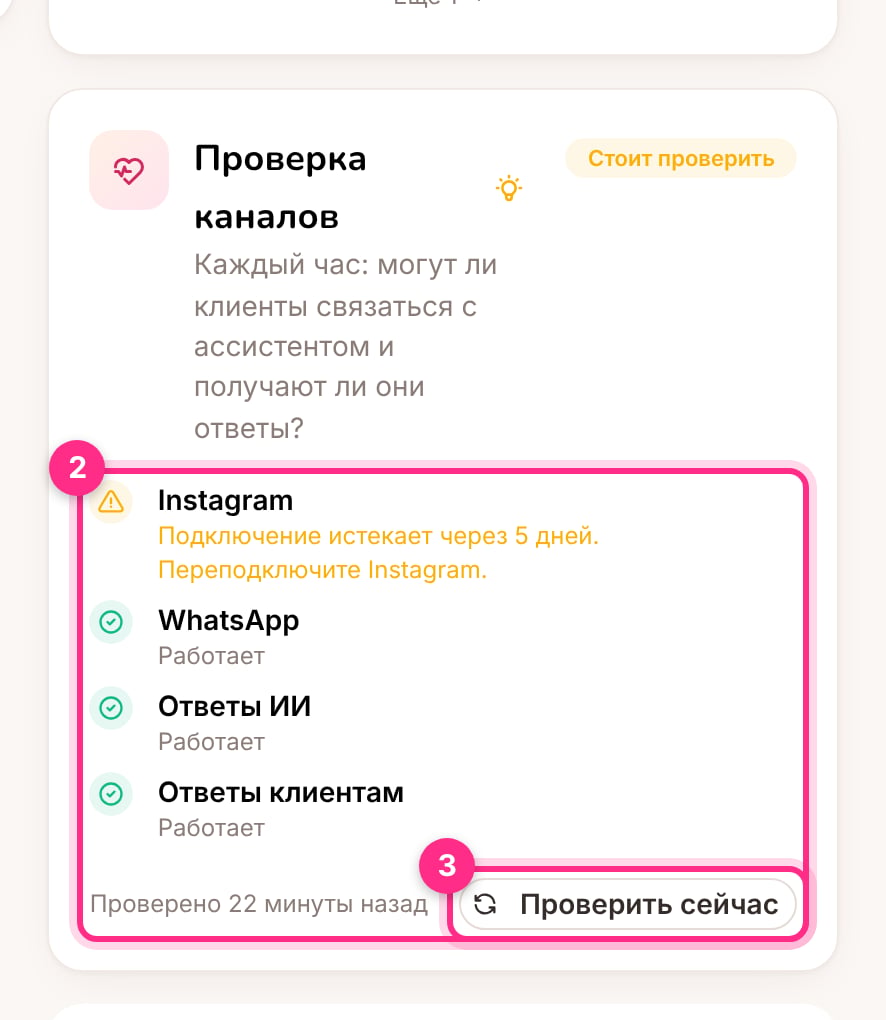 Проверка каналов на главной странице ассистента: результат (1), каждая часть с тем, что найдено (2), и проверка сейчас (3)