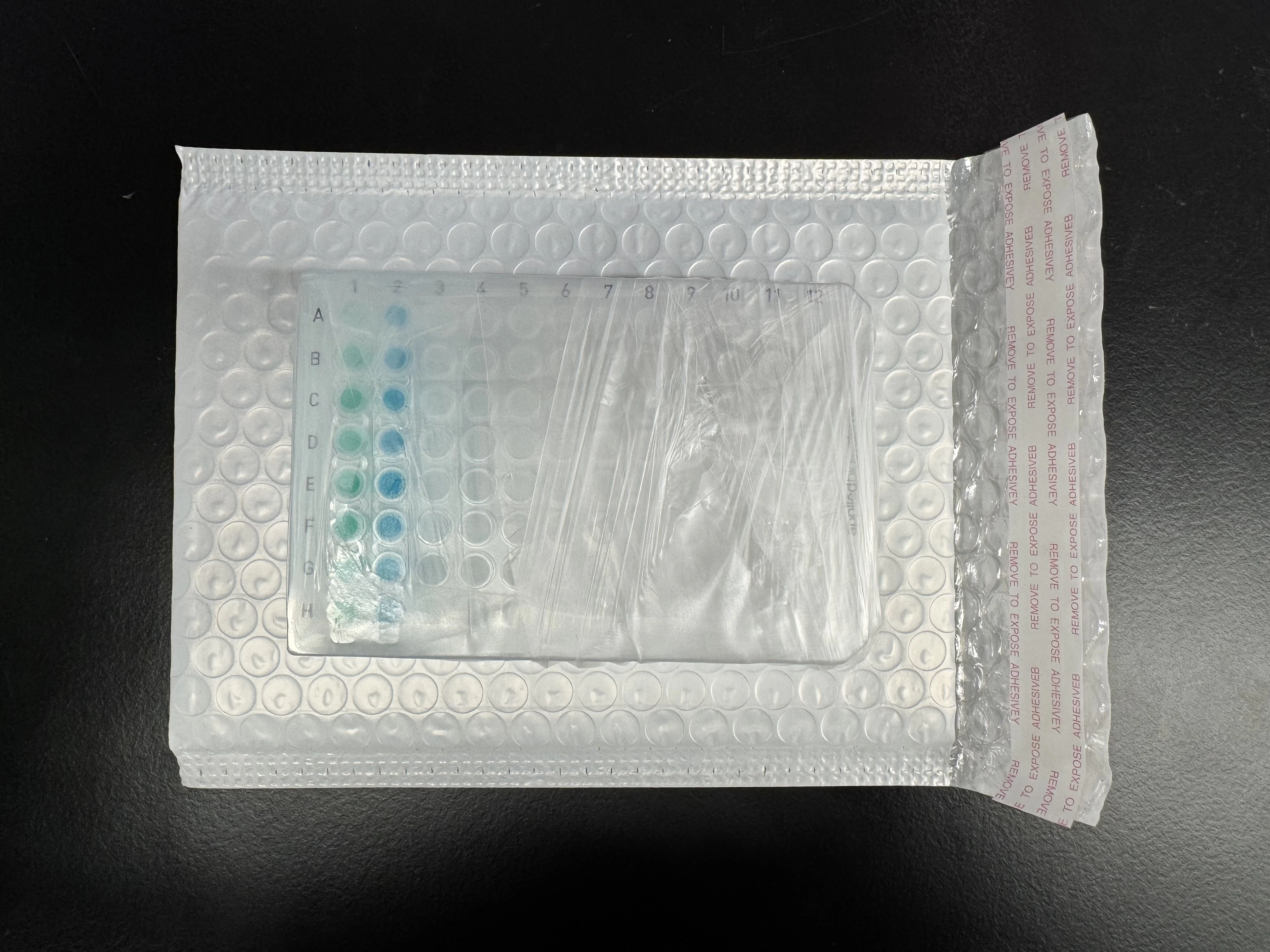 Bubble Wrap Package Bubble Wrap Package