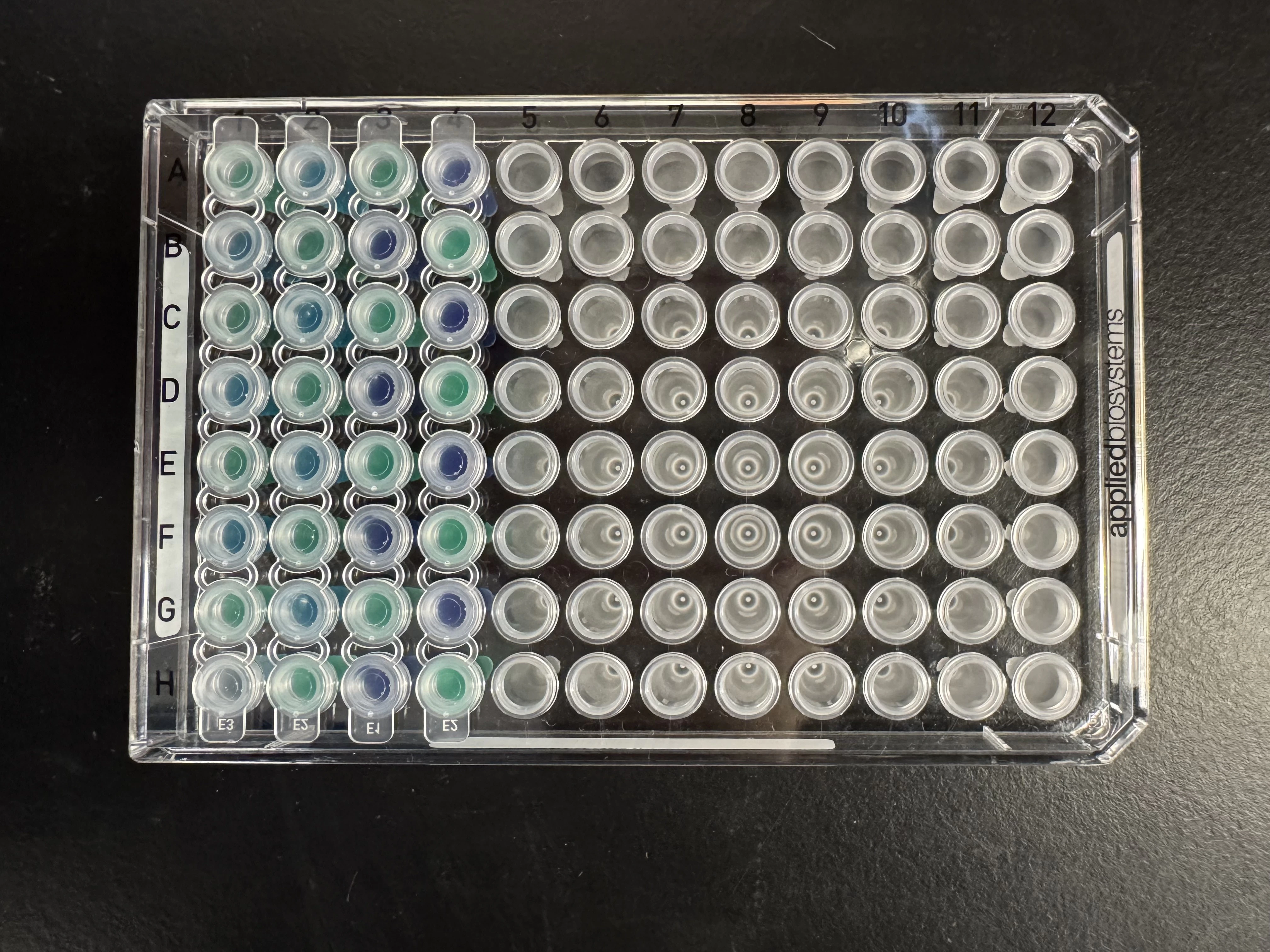 Strip Capped Plates Strip Capped Plates