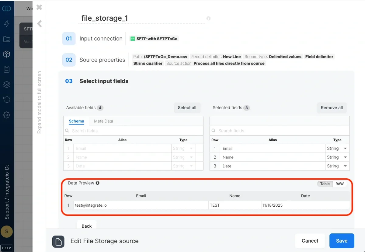 Data preview showing fields from the ingested file