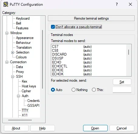 PuTTY TTY settings with Don't allocate a pseudo terminal checked