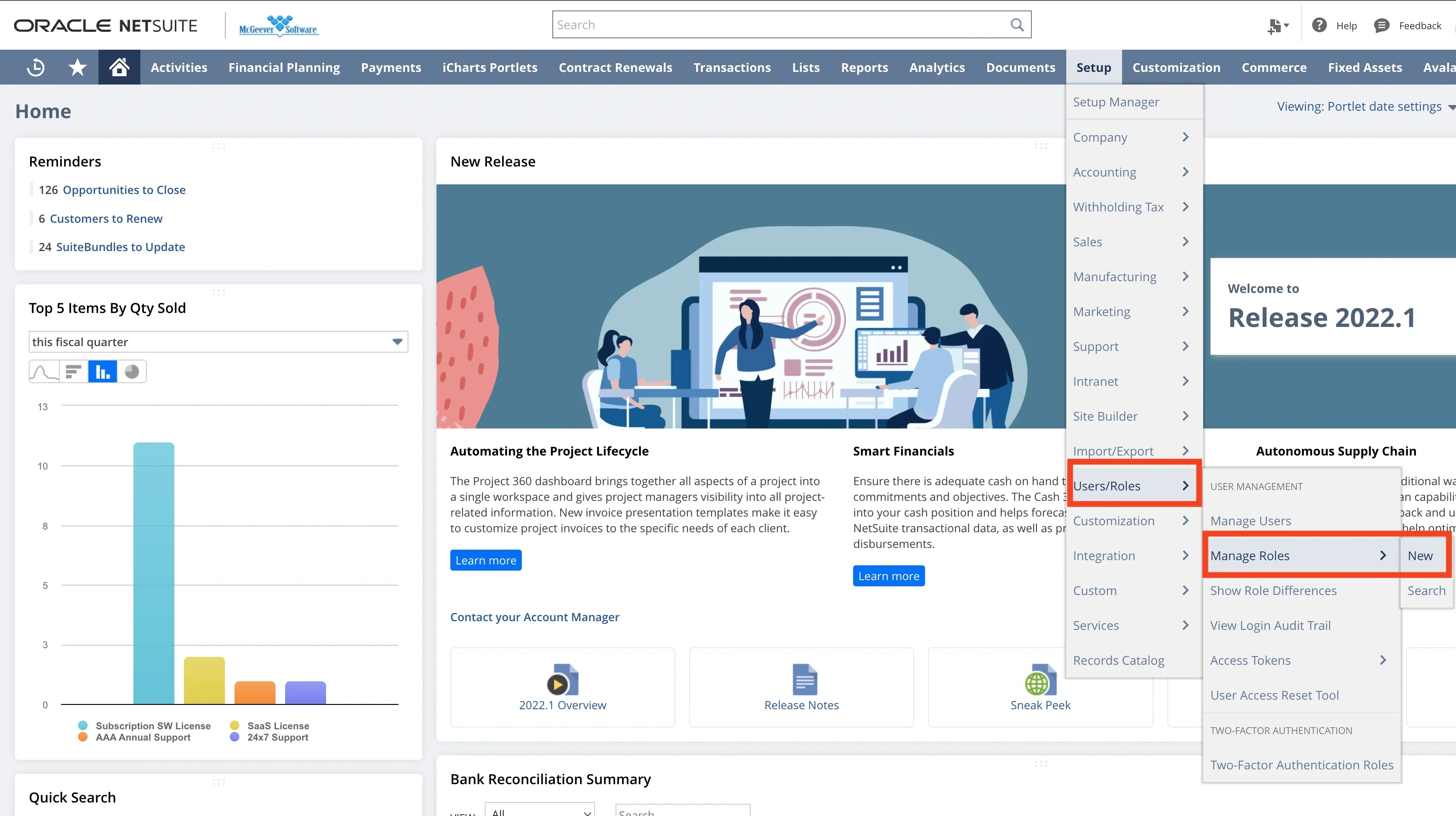 Creating a new role in NetSuite Setup