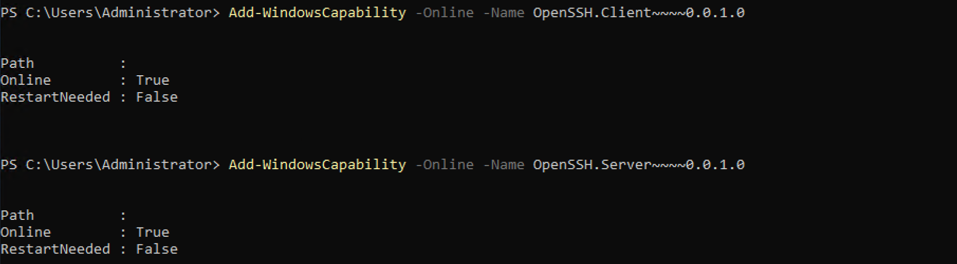 PowerShell output after installing OpenSSH Client and Server