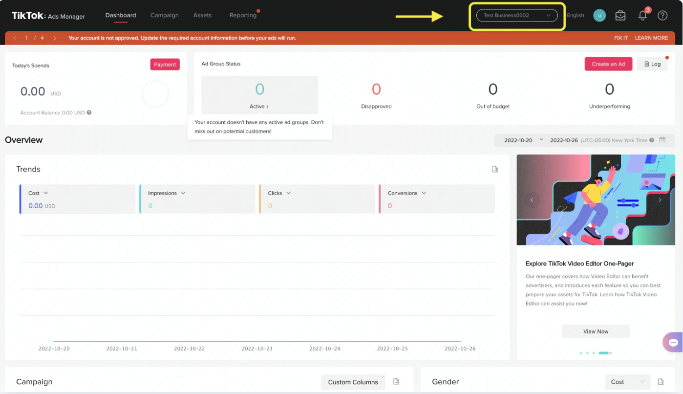 TikTok Ads Manager showing Advertiser ID location