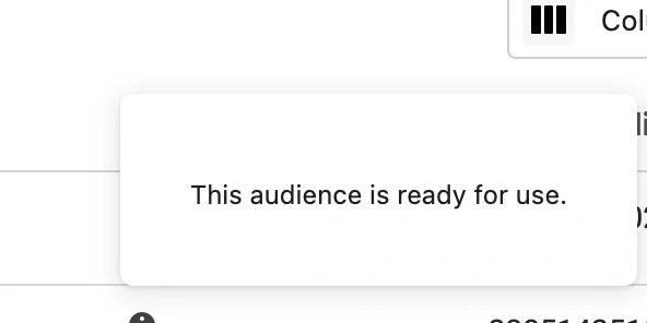 Hover tooltip confirming Custom Audience is ready for use