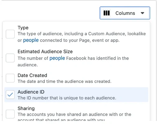 Columns dropdown with Audience ID checkbox enabled
