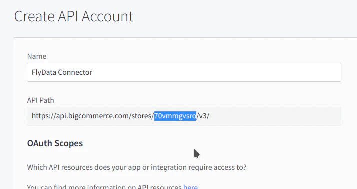 API token name field with the store hash highlighted in the API path