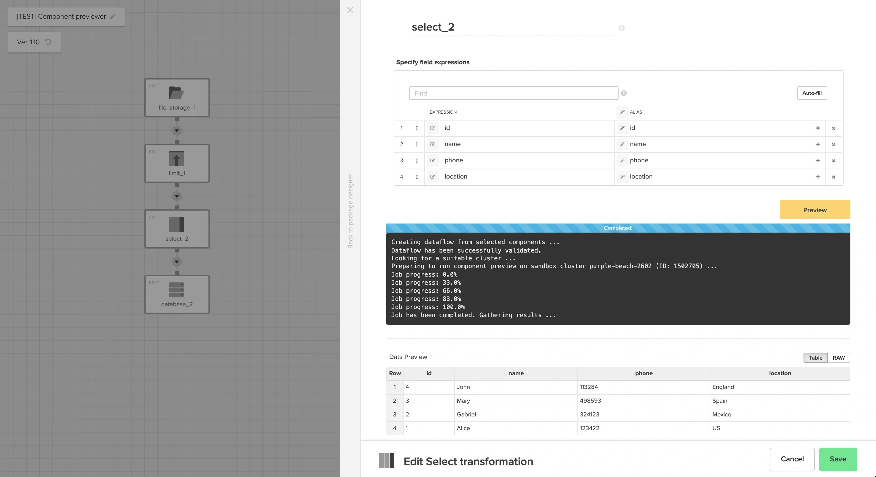 Preview data table displayed after a successful preview job
