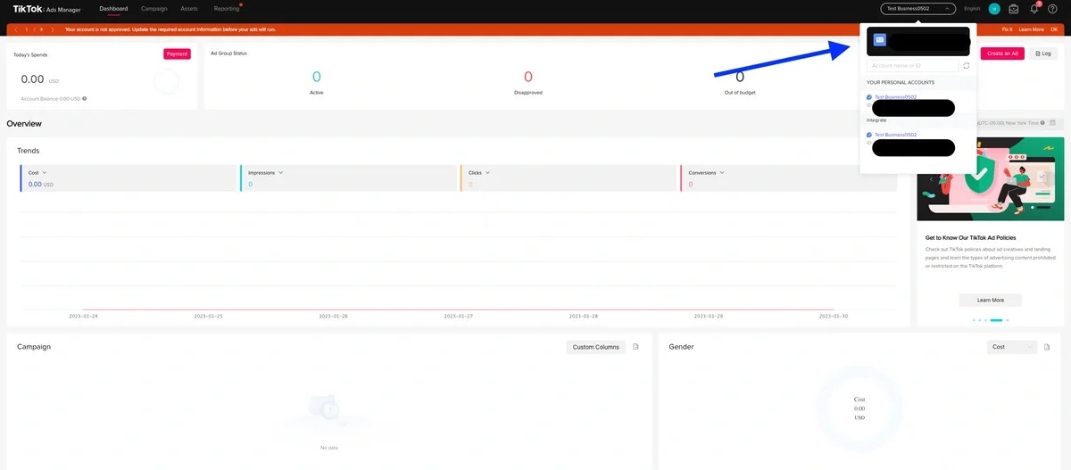 Advertiser ID location under the account name in TikTok Ads Manager