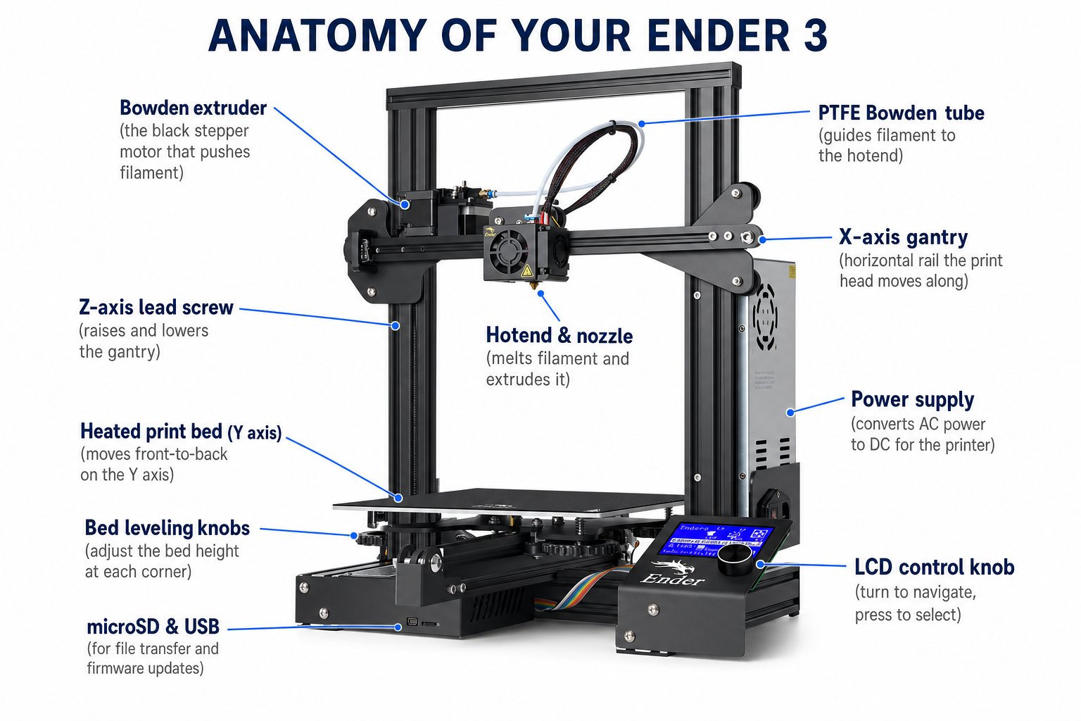 Labeled anatomy diagram of a Creality Ender 3 FDM 3D printer showing the spool, extruder, hotend, bed, gantry, and LCD