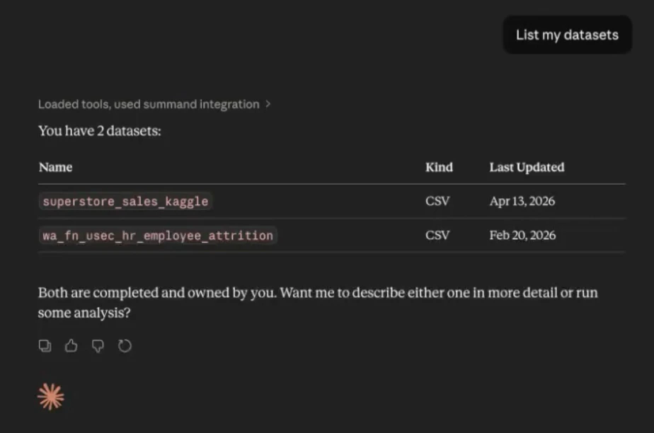 AI client listing the user's Summand datasets