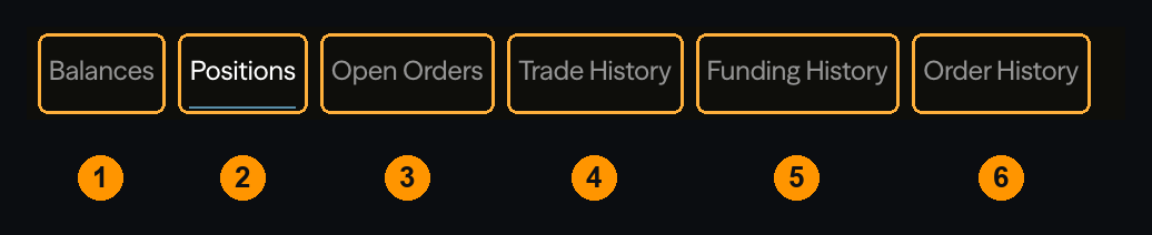 Die sechs Tabs am unteren Rand: Balances, Positions, Open Orders, Trade History, Funding History, Order History