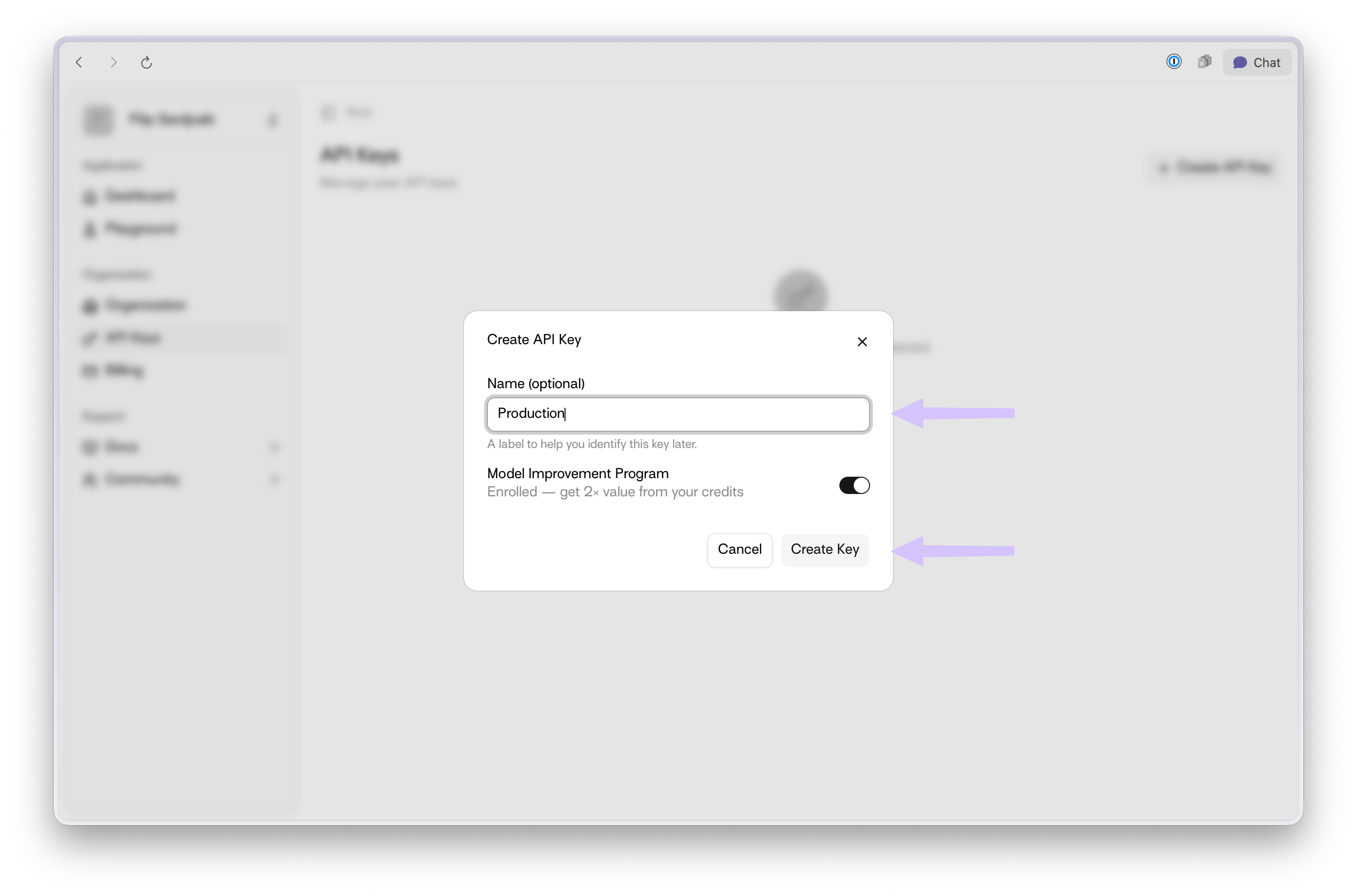 Create API Key modal with name field and MIP toggle highlighted