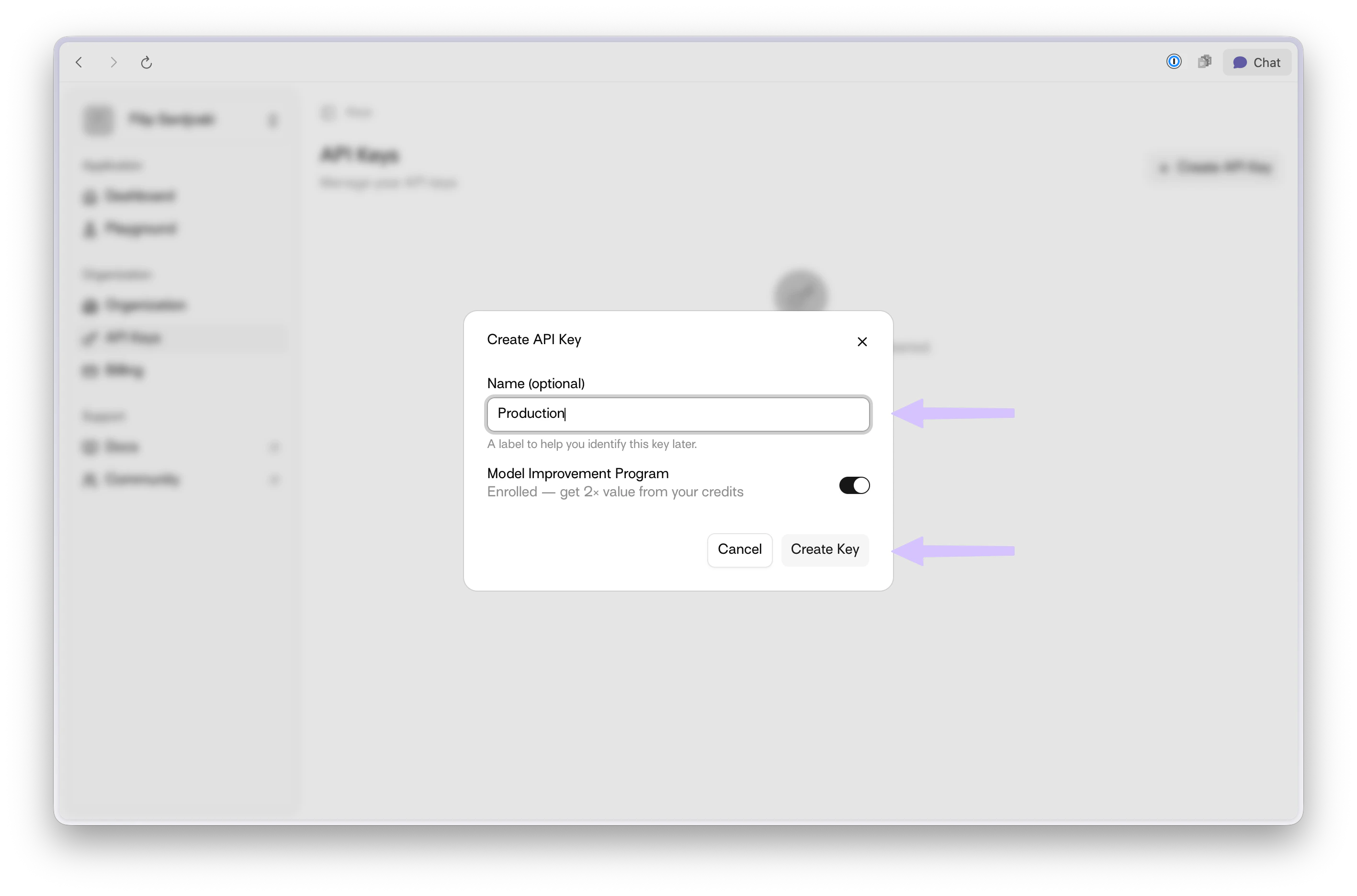 Create API Key modal with name field and MIP toggle highlighted