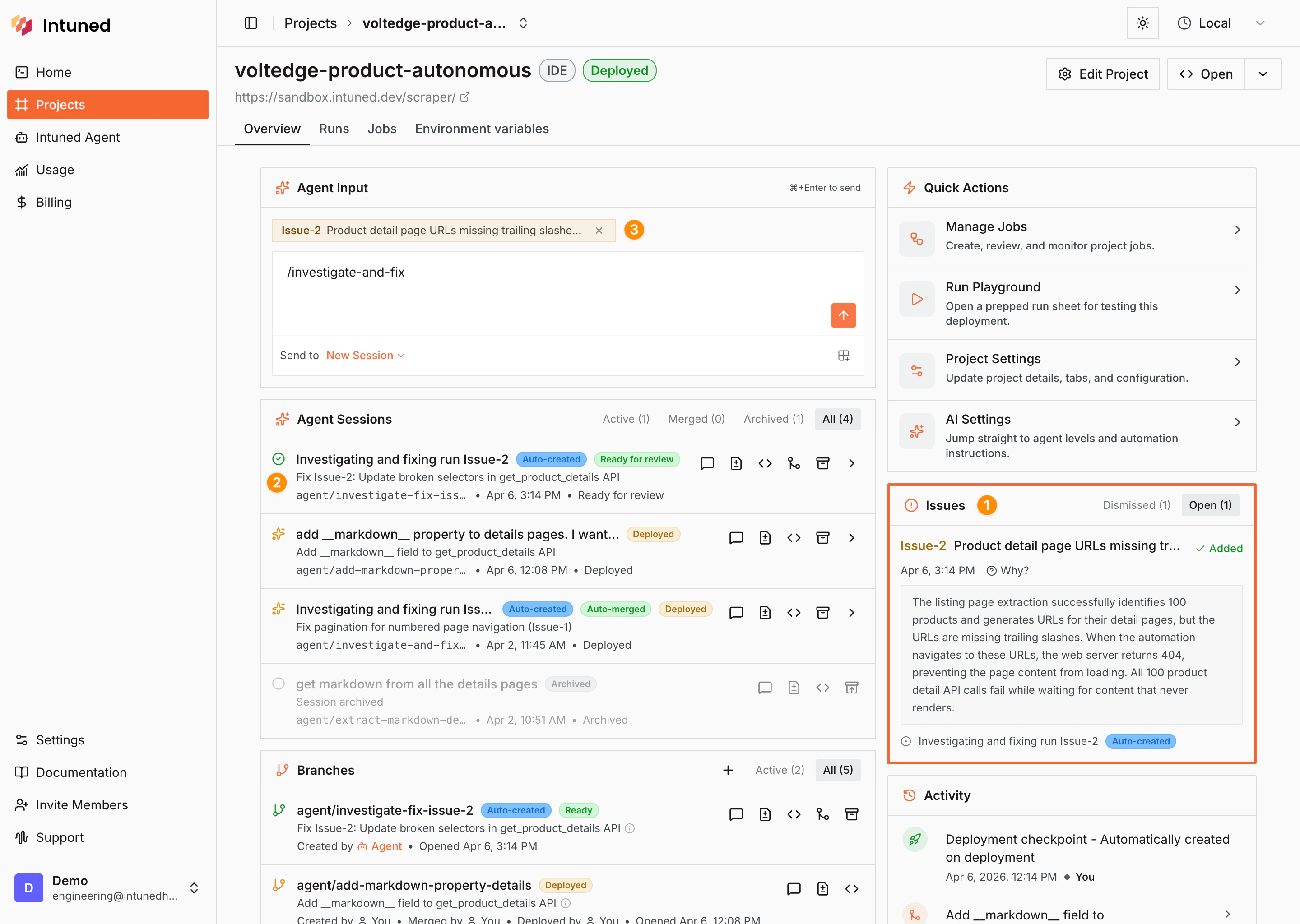 The Issues panel on the project overview page