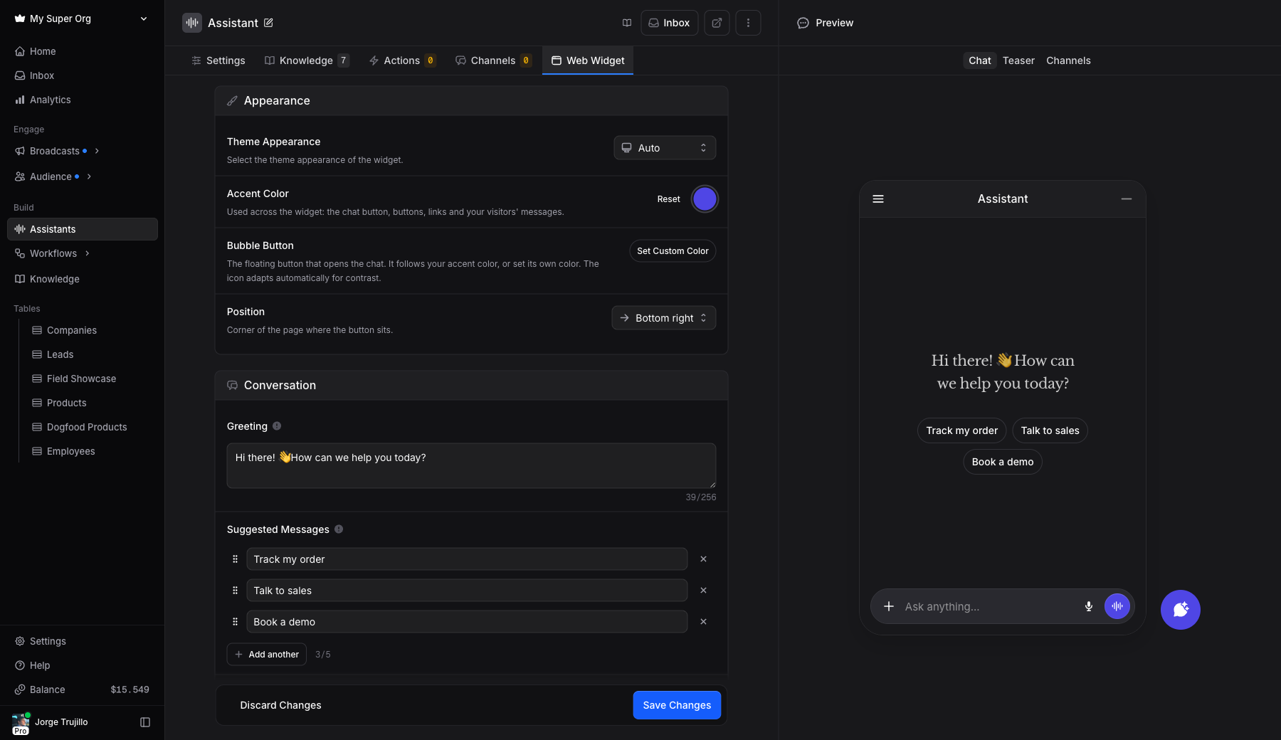 Widget settings with a live preview of the chat