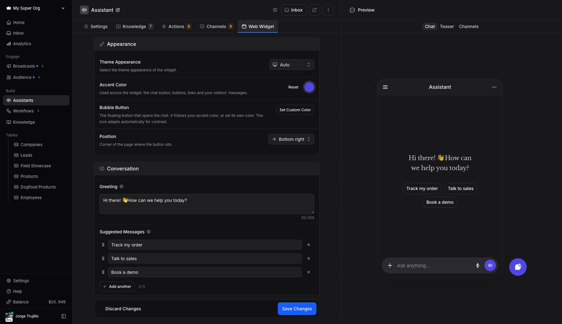 Widget settings with a live preview of the chat
