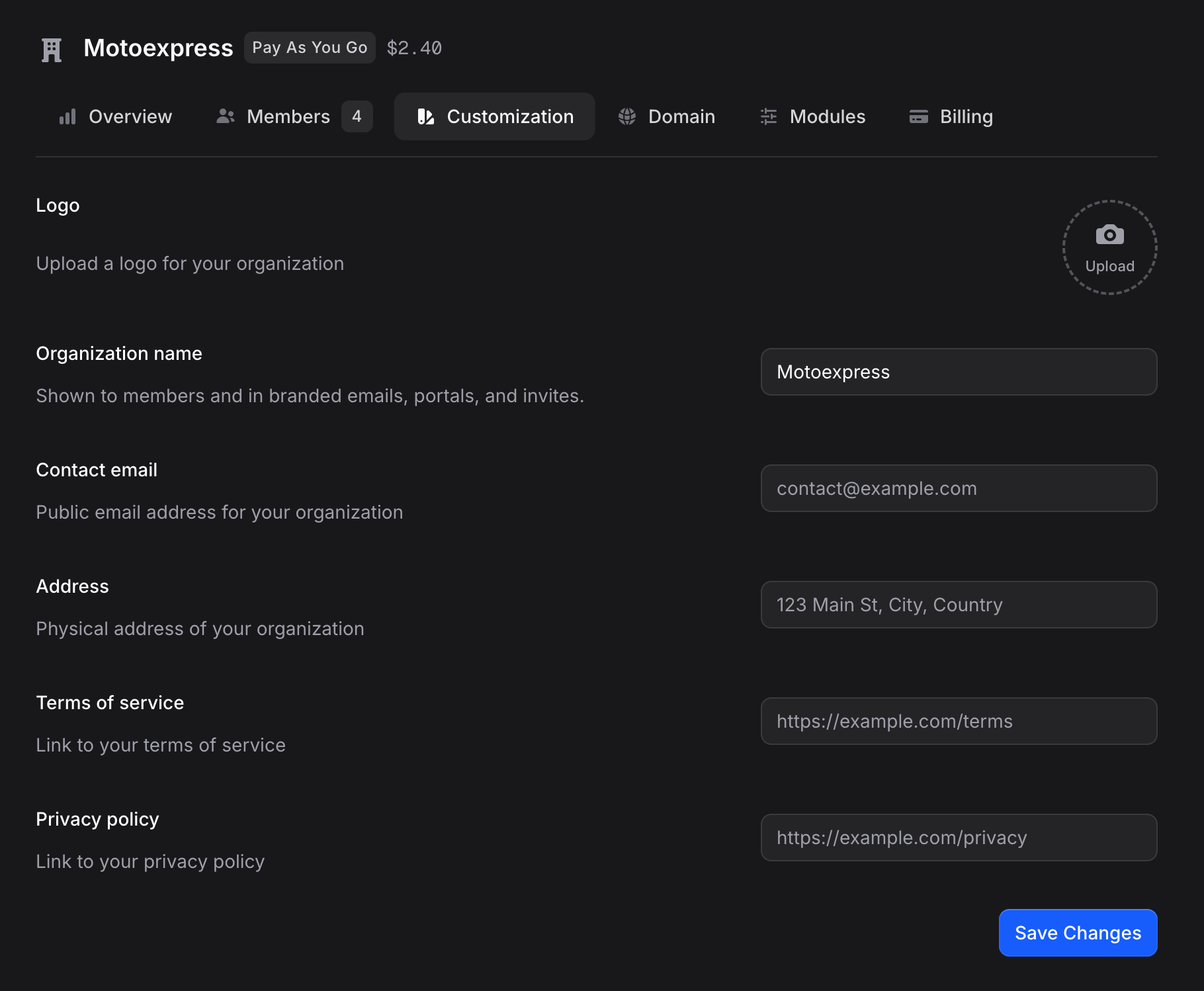 Customization tab inside a sub-organization with branding fields
