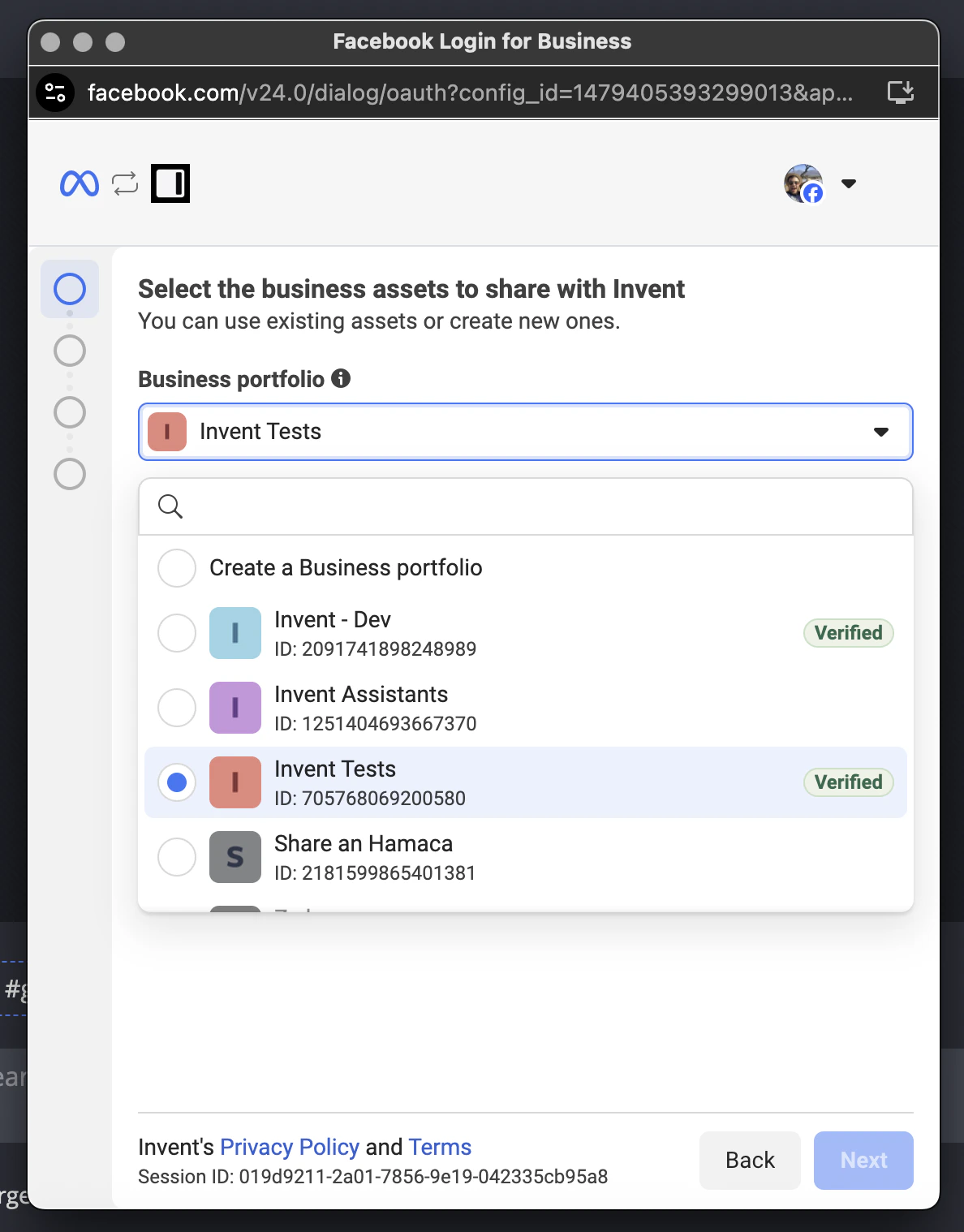Business portfolio dropdown listing existing portfolios with IDs and Verified badges