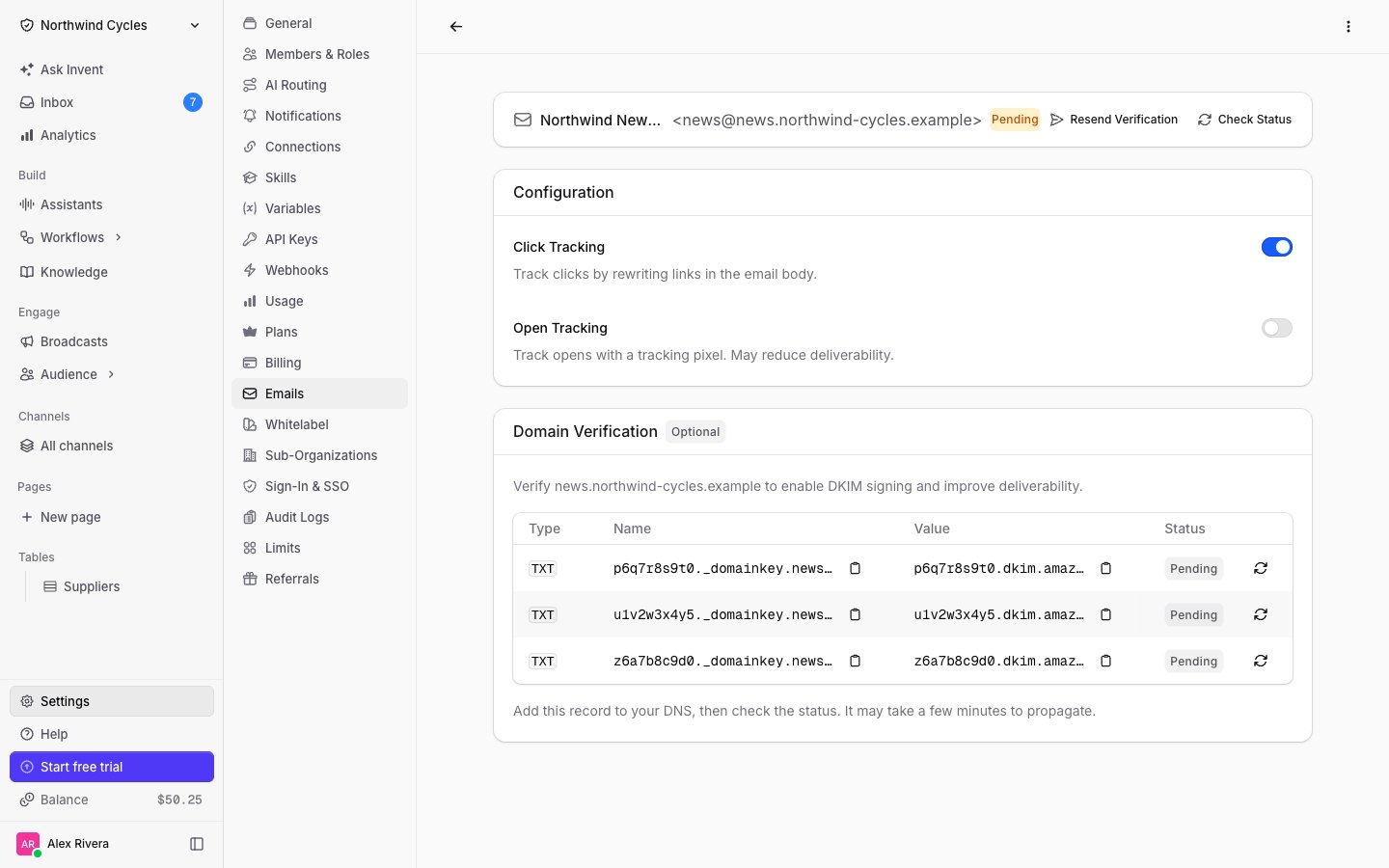 Domain verification records