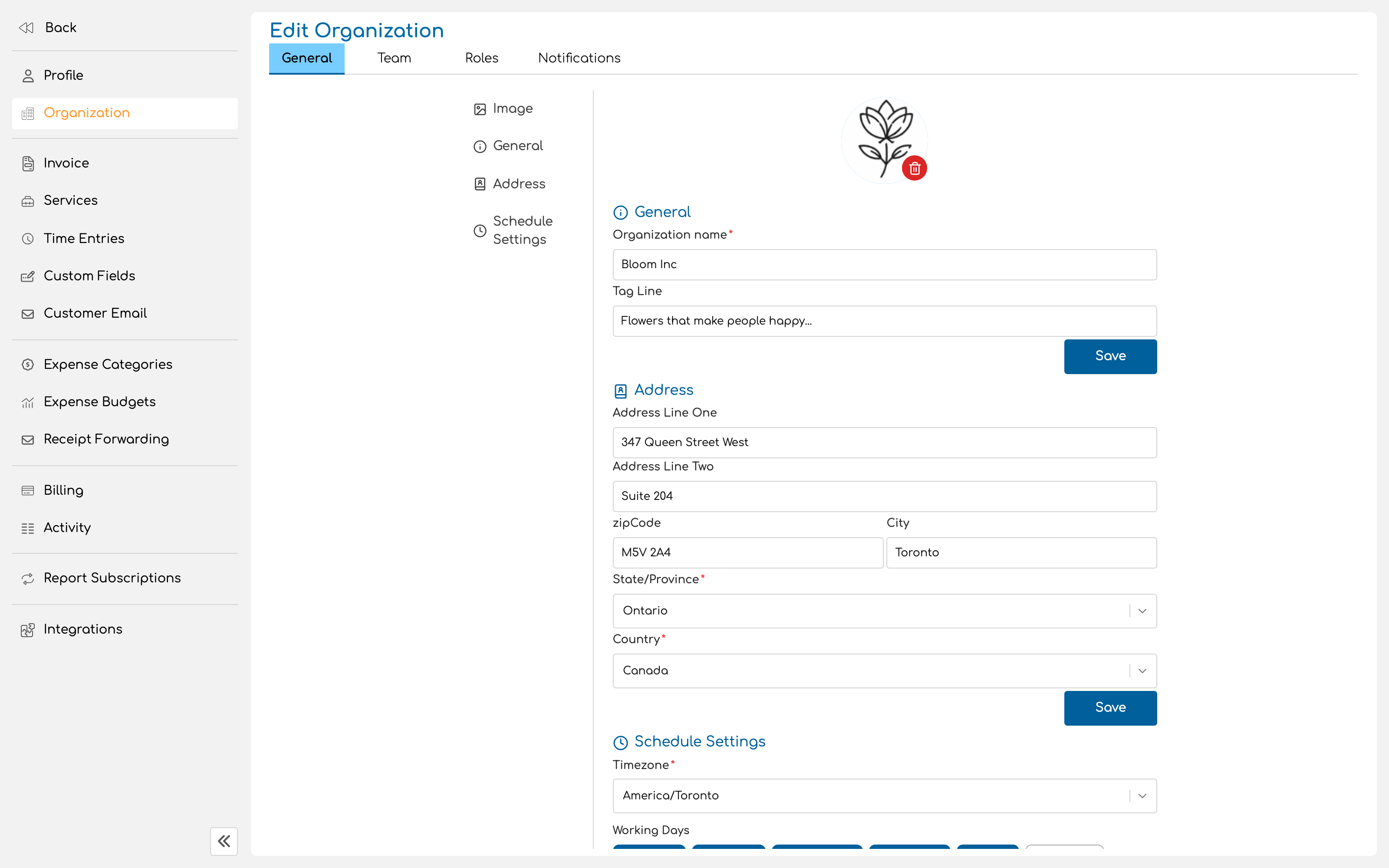 Organization settings, Details tab, name, tagline and logo filled in for the demo organization