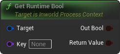 GetRuntimeBool Blueprint Node