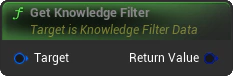 GetKnowledgeFilter Blueprint Node