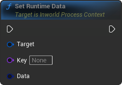 SetRuntimeData Blueprint Node