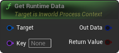 GetRuntimeData Blueprint Node