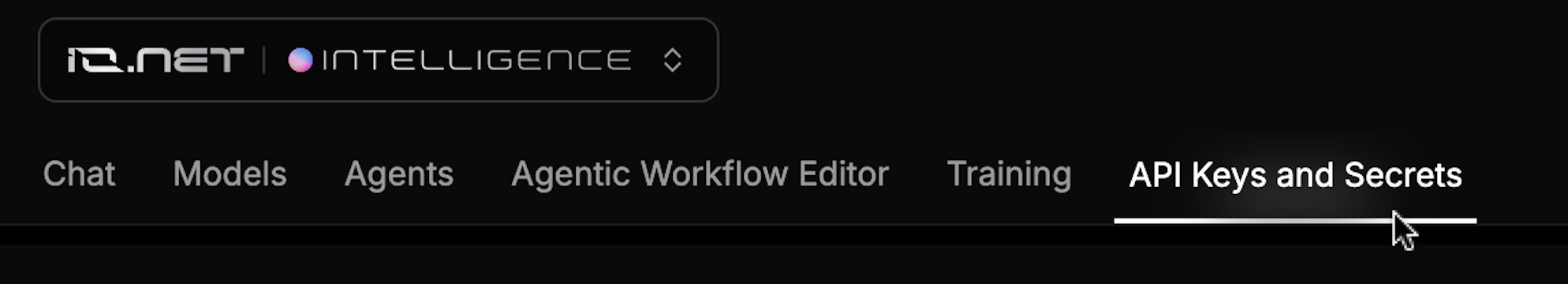 IO Intel API Key Secrets Nav Bar