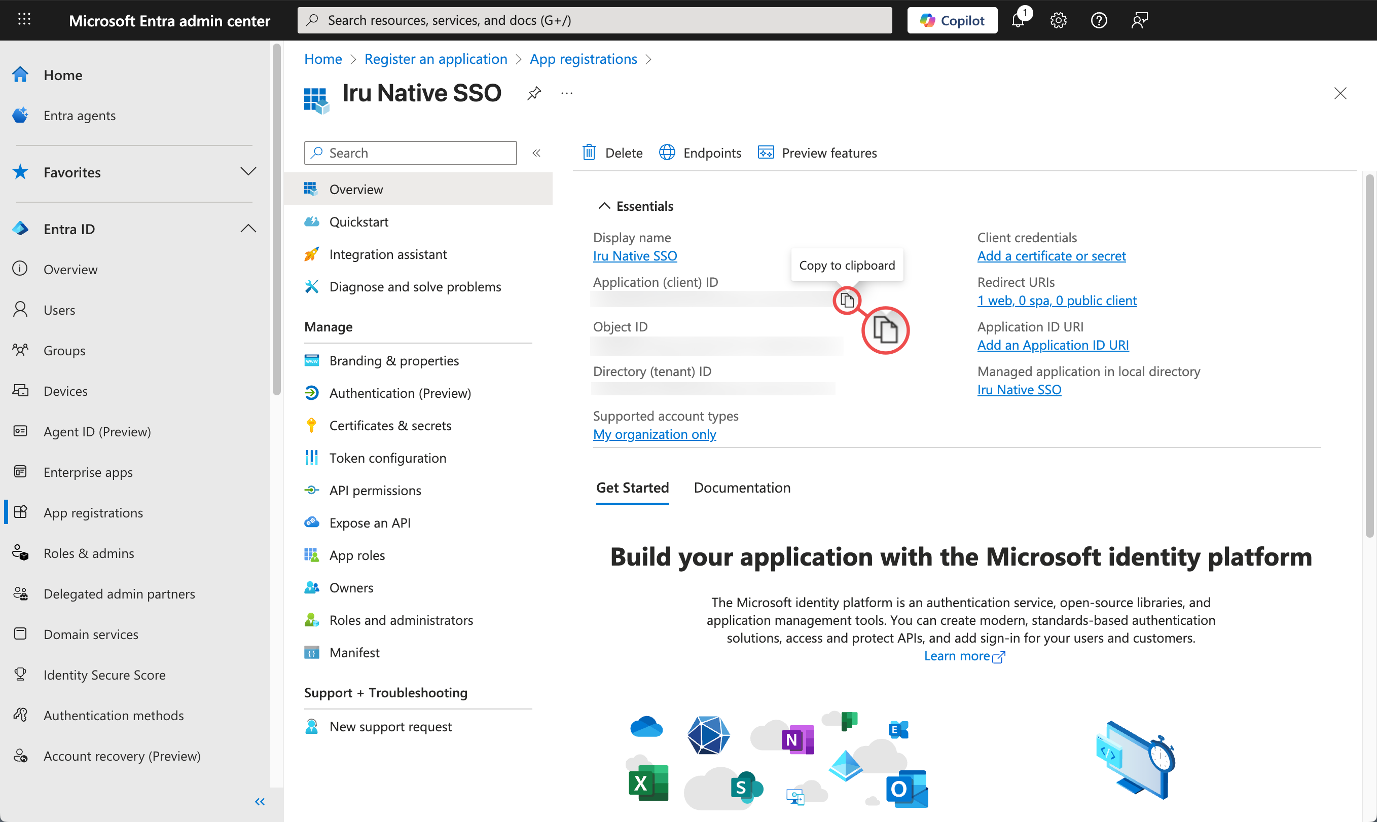 Entra ID Application client ID copy