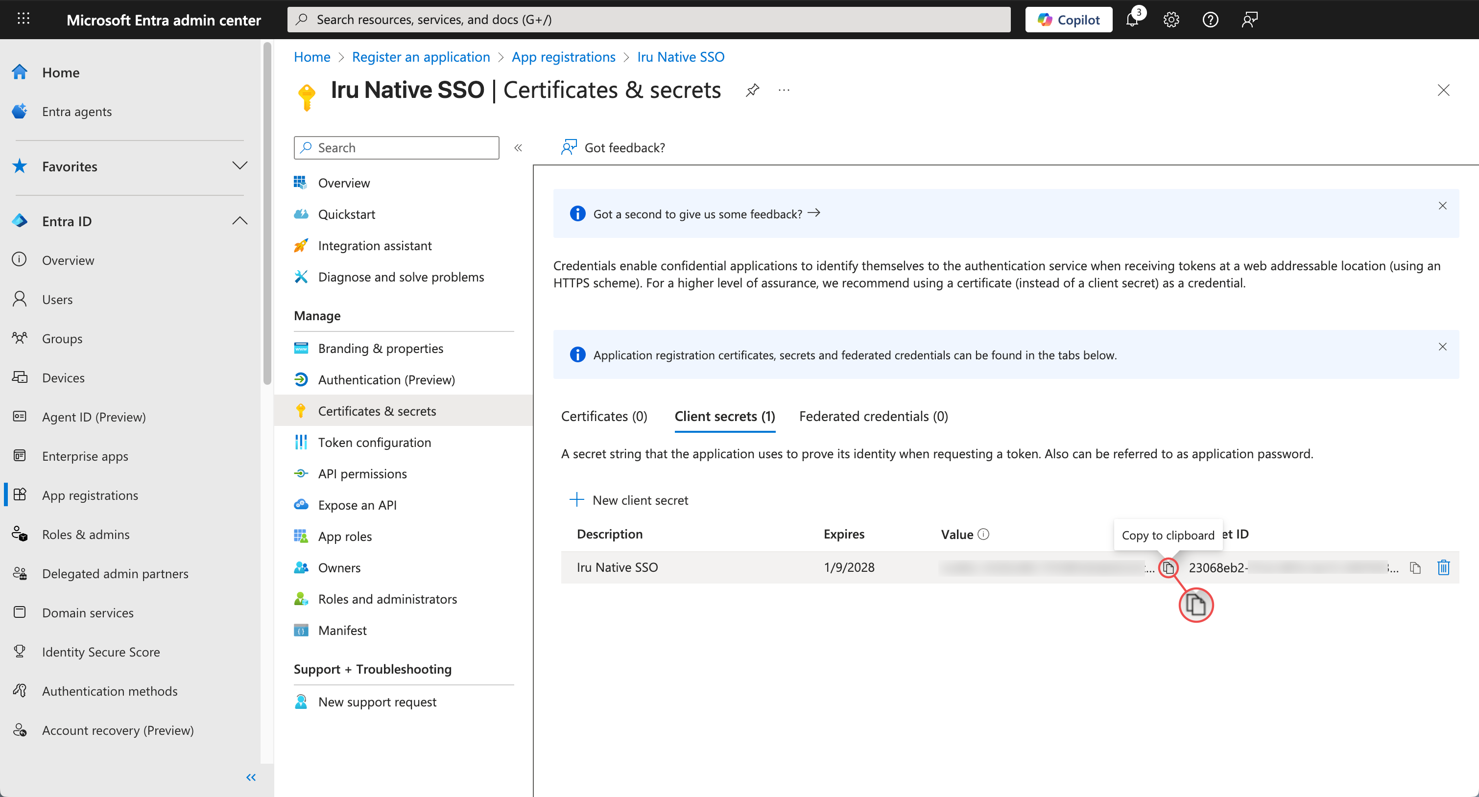 Entra ID Copy client secret Value