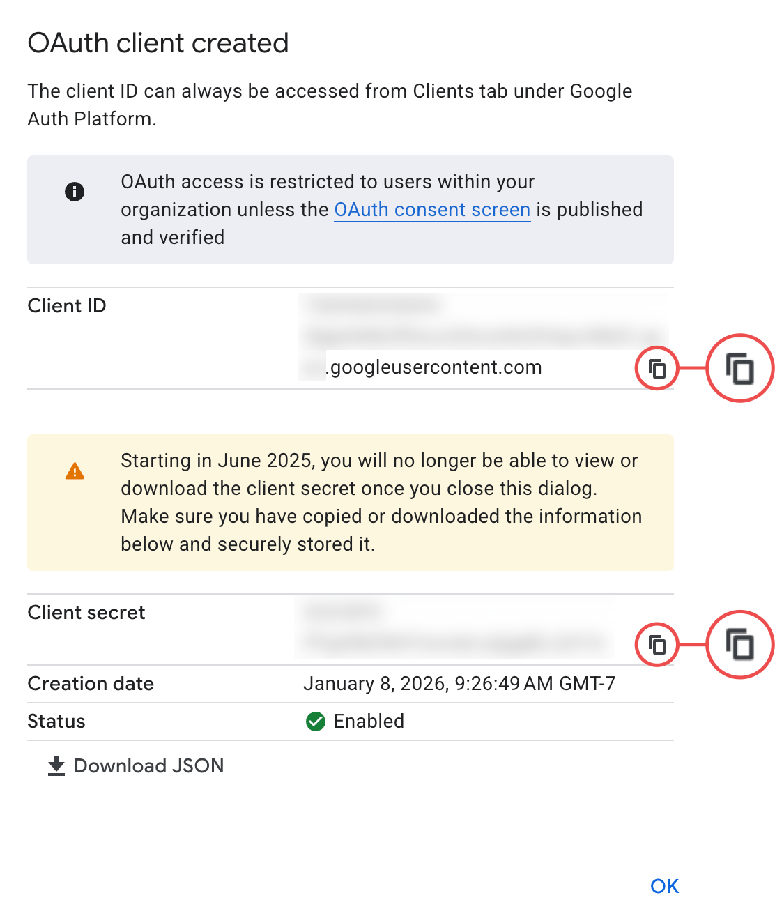 Google OAuth Client ID and Client Secret fields