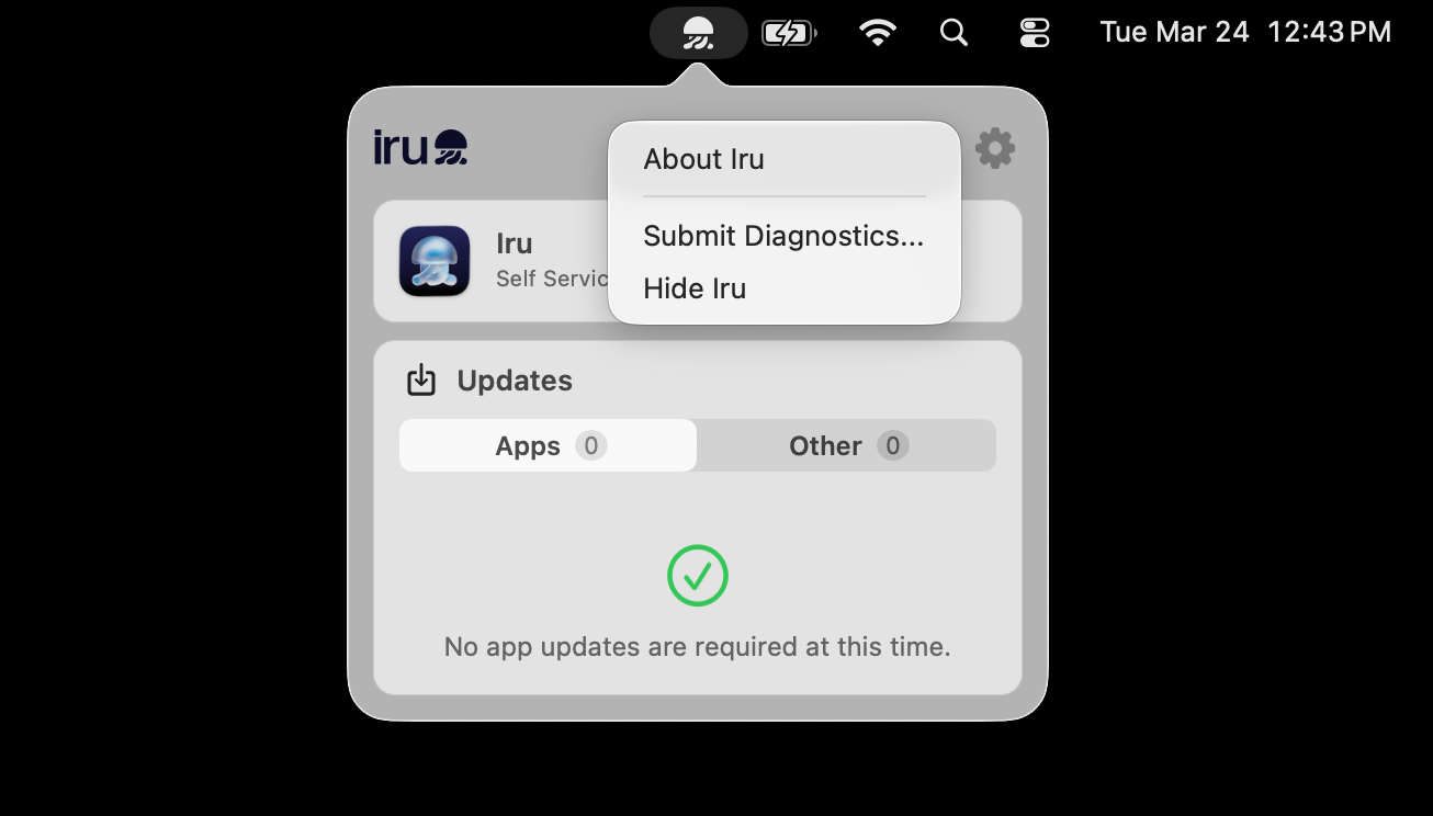 Iru Endpoint settings menu open with Submit Diagnostics visible