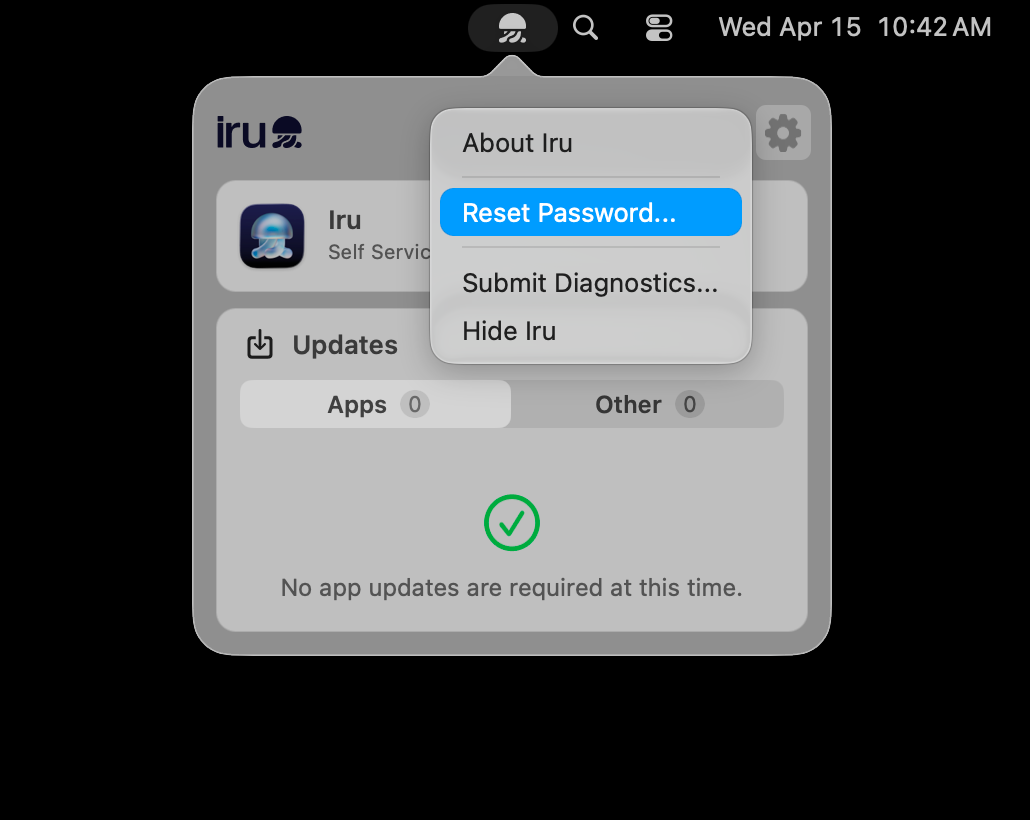 Iru Endpoint menu bar with the gear menu open; the Reset Password... item is shown