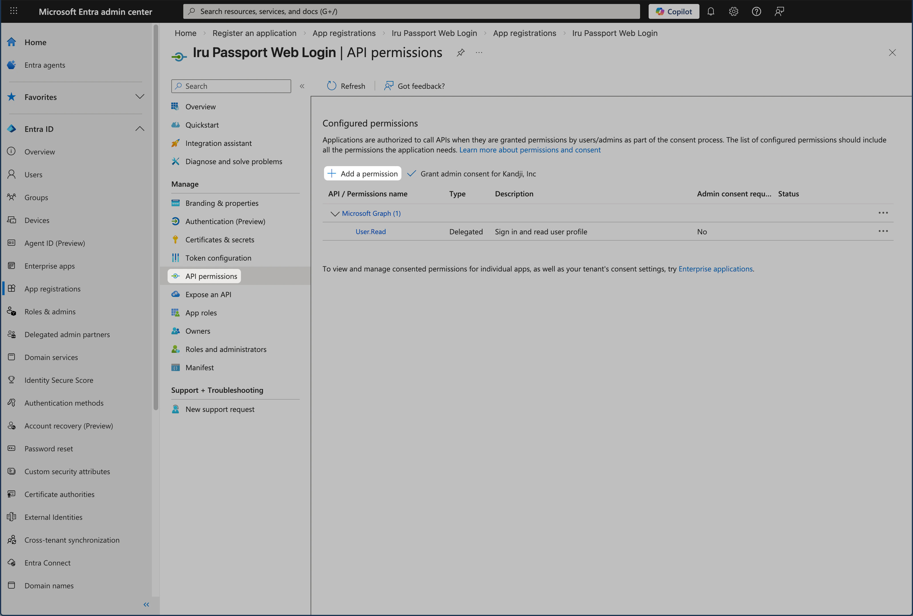 Microsoft Entra ID API permissions pane showing Add a permission for Passport