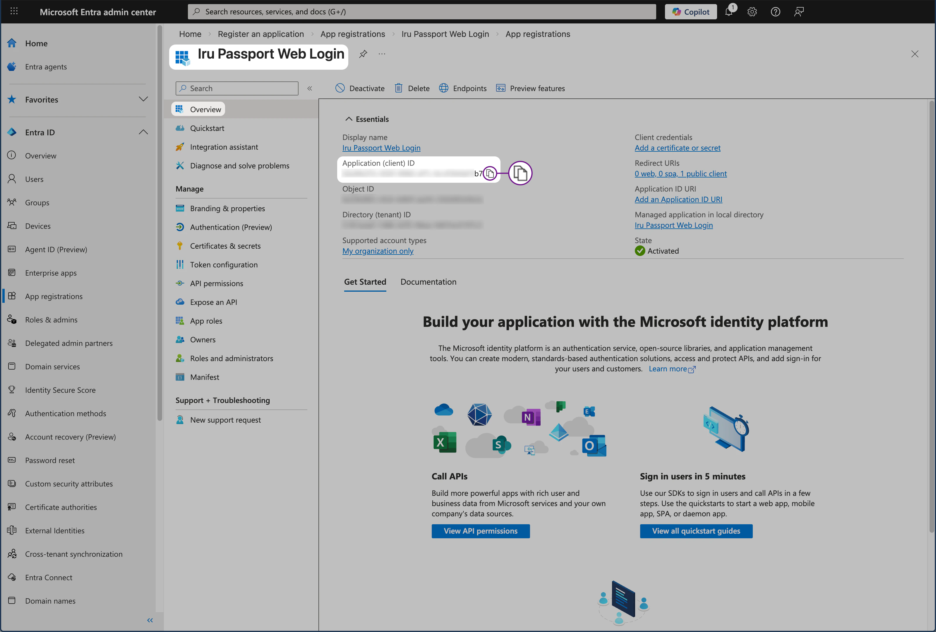 Microsoft Entra ID Overview pane showing Application (client) ID for Passport
