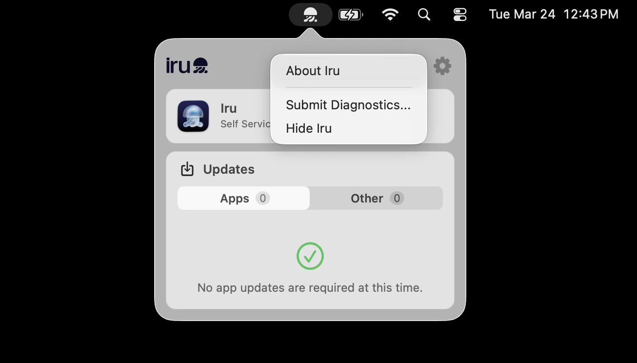 Iru Endpoint settings menu open with Submit Diagnostics visible