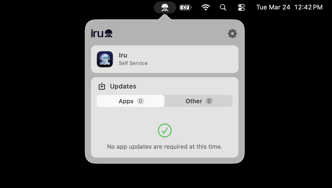 Iru Endpoint menu bar showing the jellyfish icon and settings gear