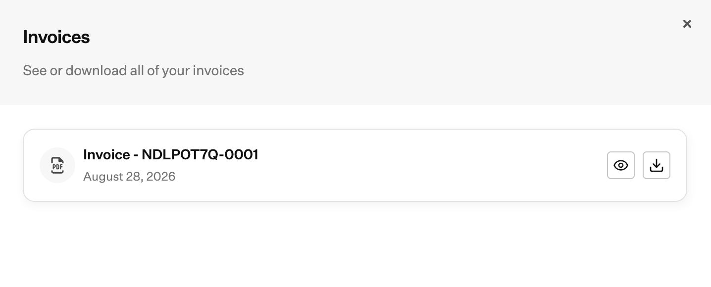 Invoices list with view and download icons on each invoice