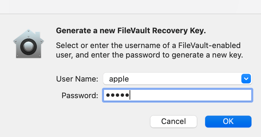 FileVault authentication prompt asking for credentials