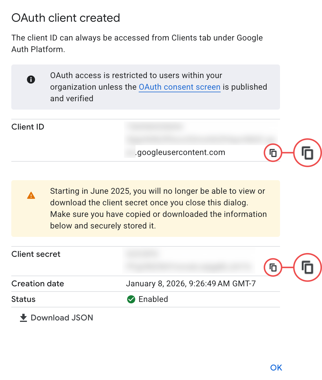Google OAuth Client ID and Client Secret fields