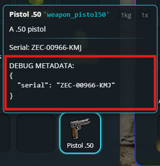 Item debug metadata screenshot
