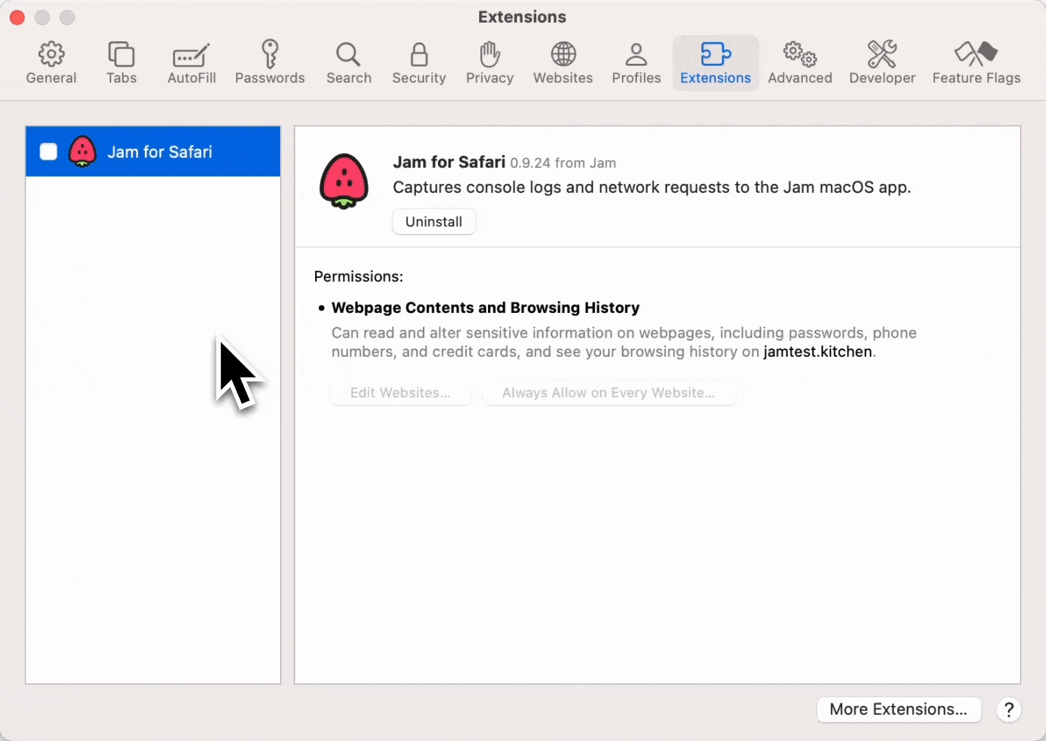 Safari Extensions settings with the Jam for Safari checkbox being turned on