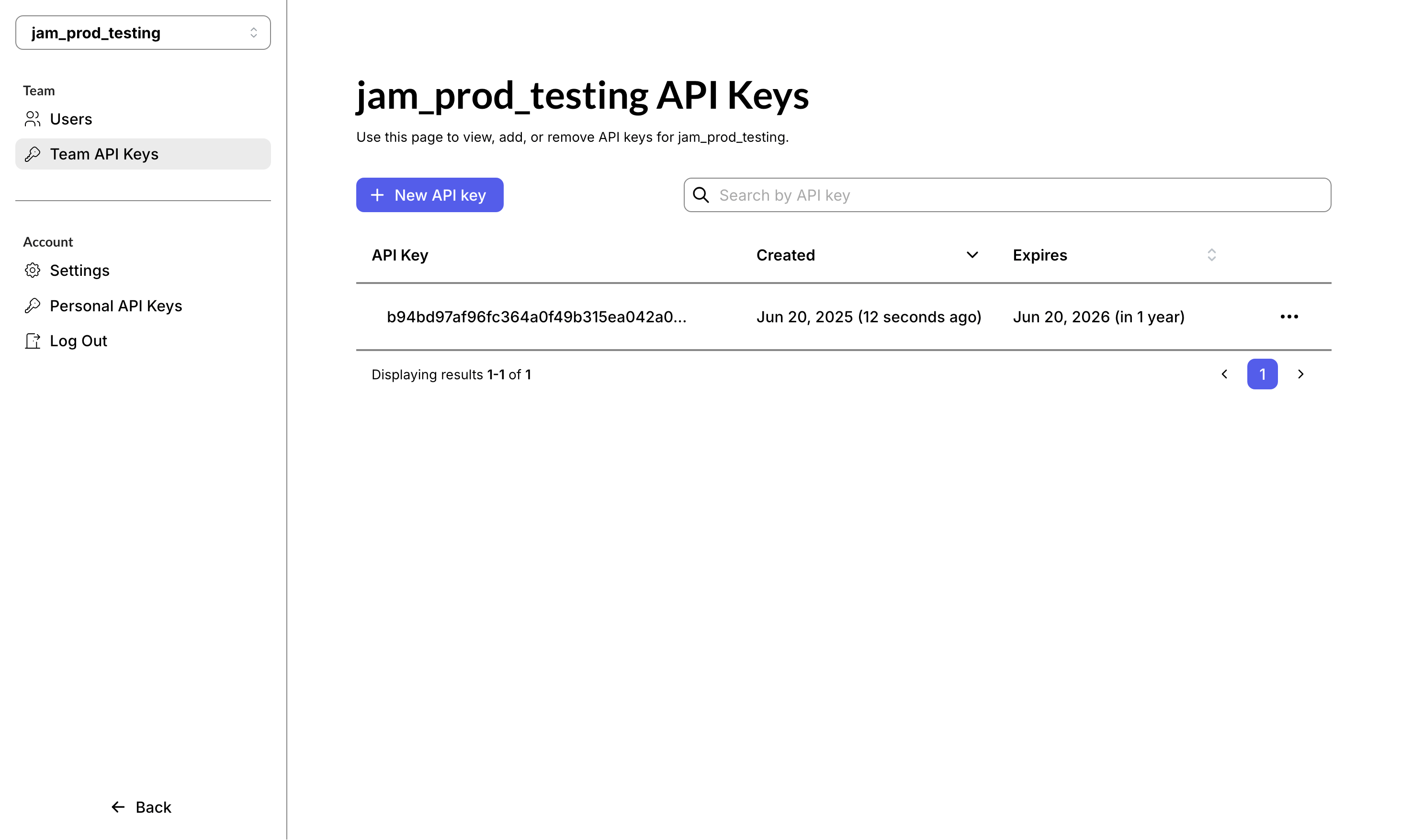 The organization API keys page - create, name, and copy a key as an Owner